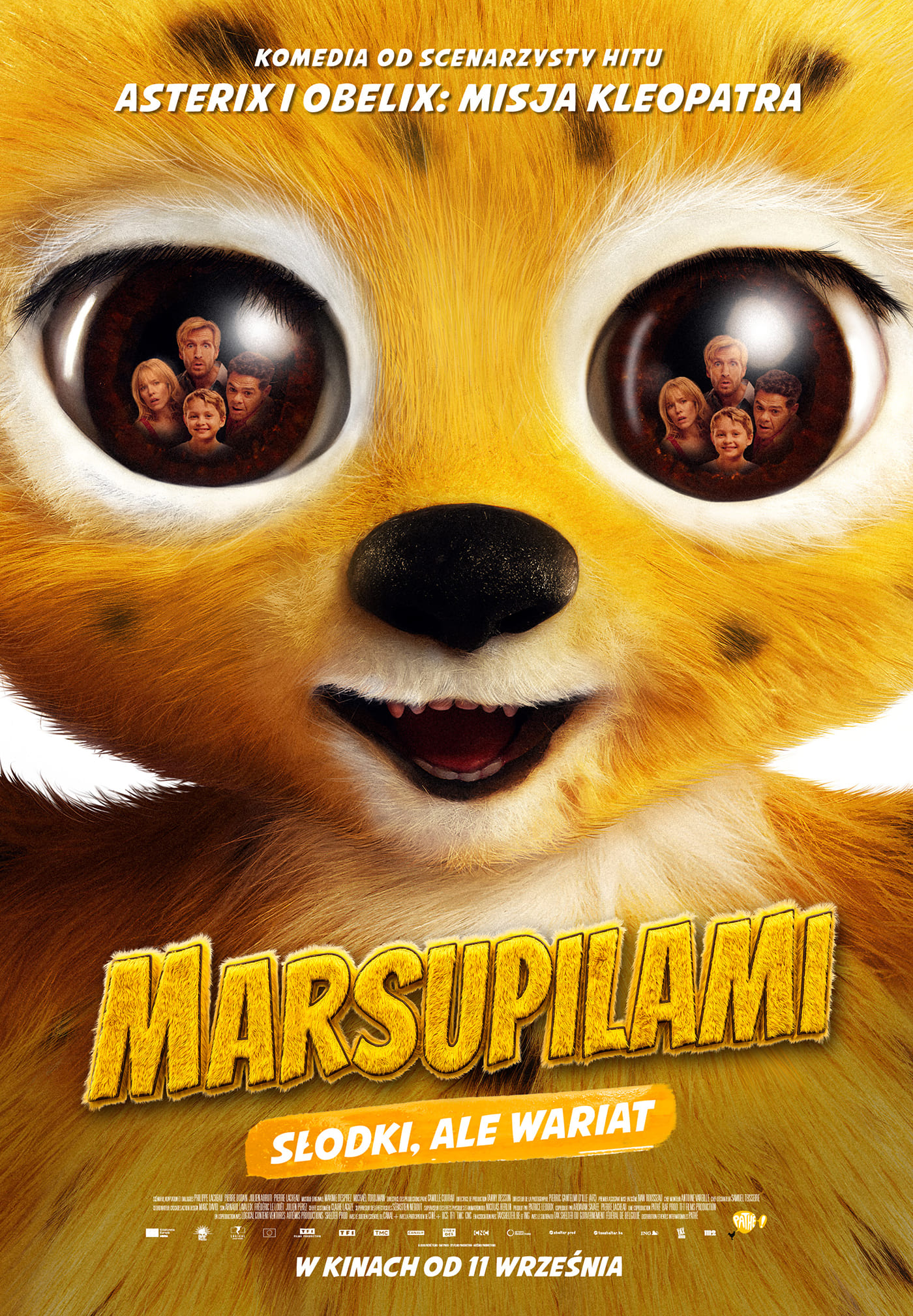 plakat